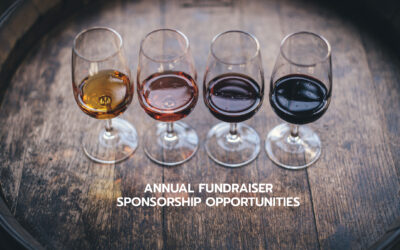 Annual Fundraiser Sponsorship